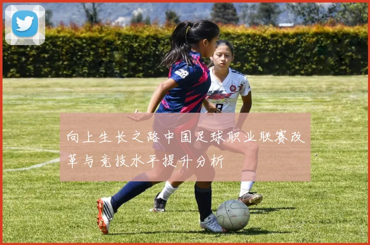 向上生长之路中国足球职业联赛改革与竞技水平提升分析