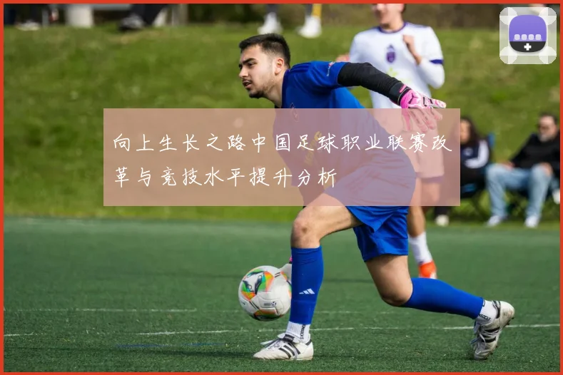 向上生长之路中国足球职业联赛改革与竞技水平提升分析